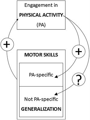 Physical Activity Predicts Performance in an Unpracticed Bimanual Coordination Task